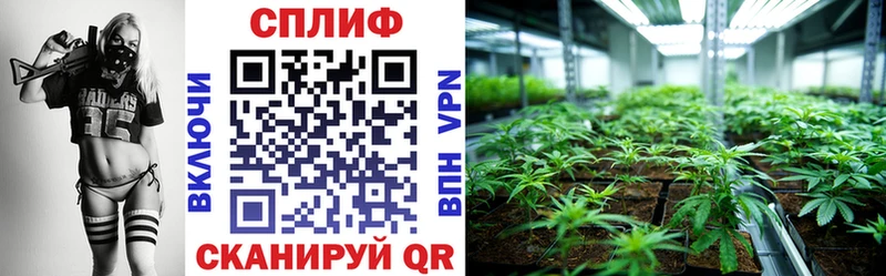 Канабис LSD WEED  даркнет сайт  Всеволожск 